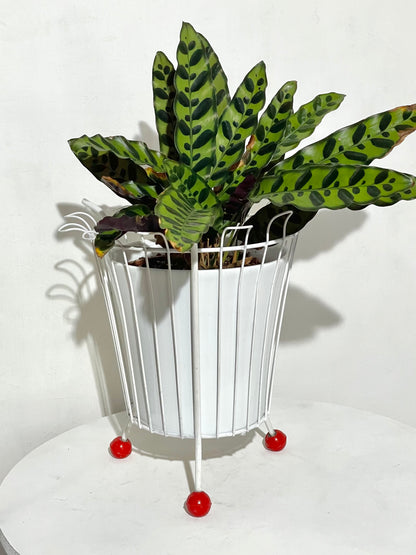 Sputnik plant stand/paper bin