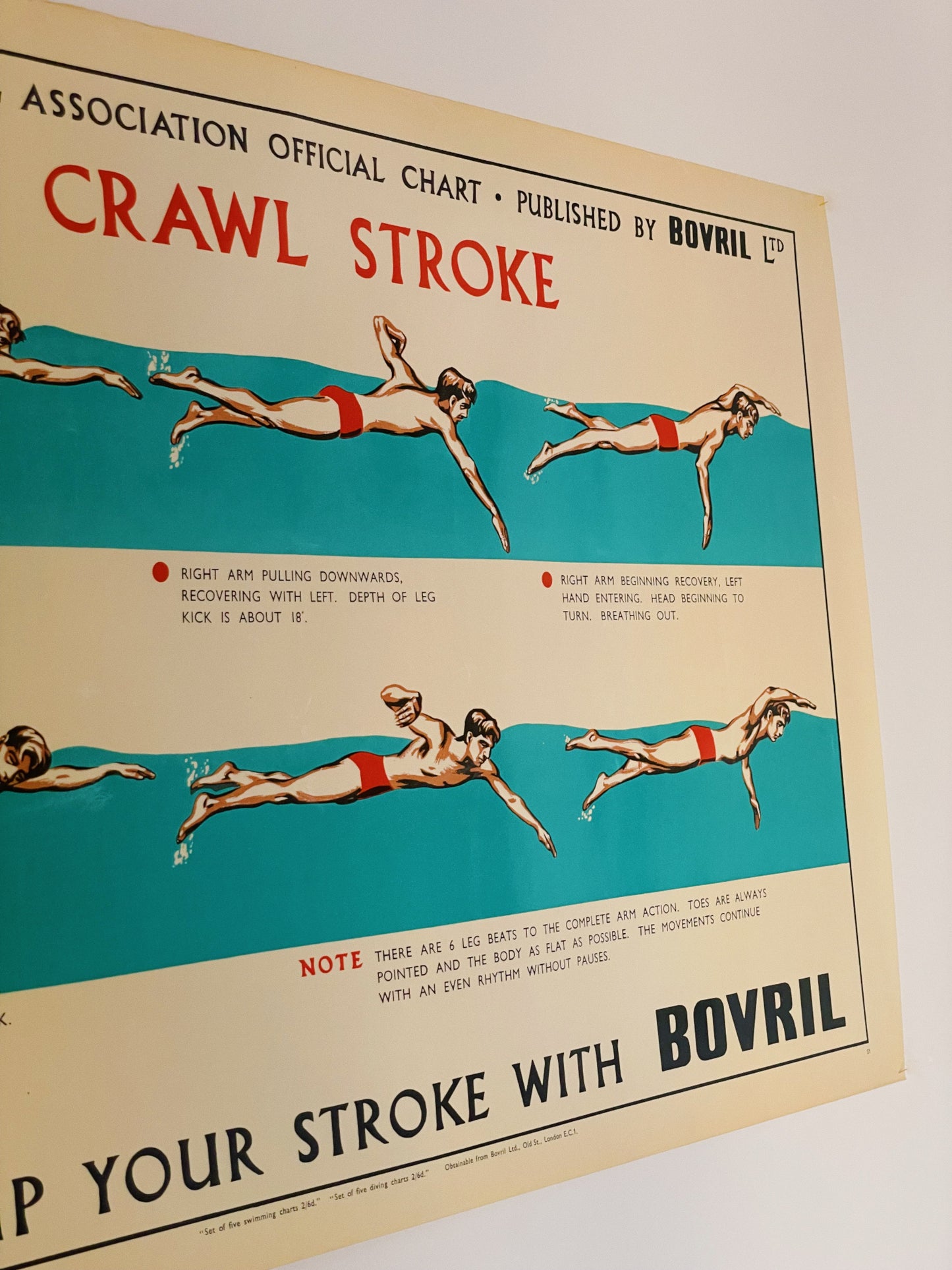 1950’s swimming poster