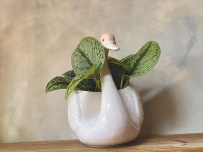 St Michael's (Vintage M&S) Swan Planter