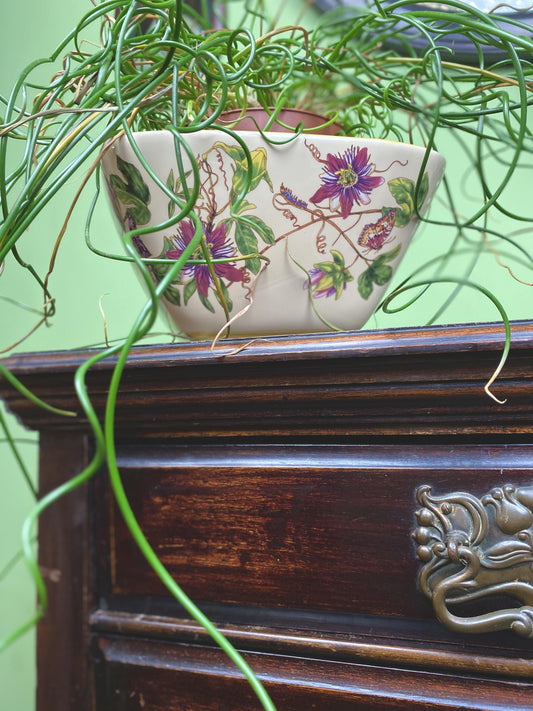 Cream floral print dish/ plant pot - Zoo Lane