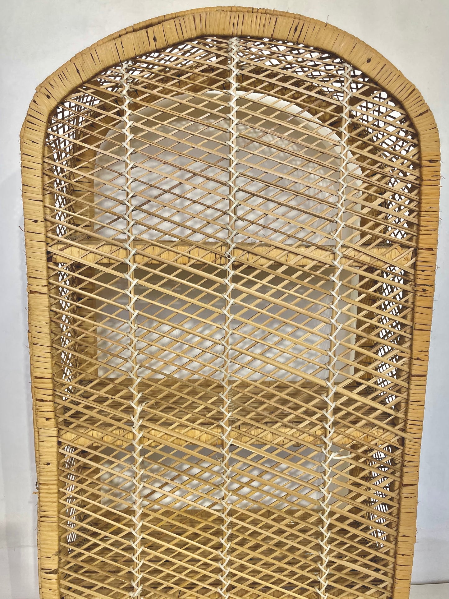 Peacock rattan bookcase