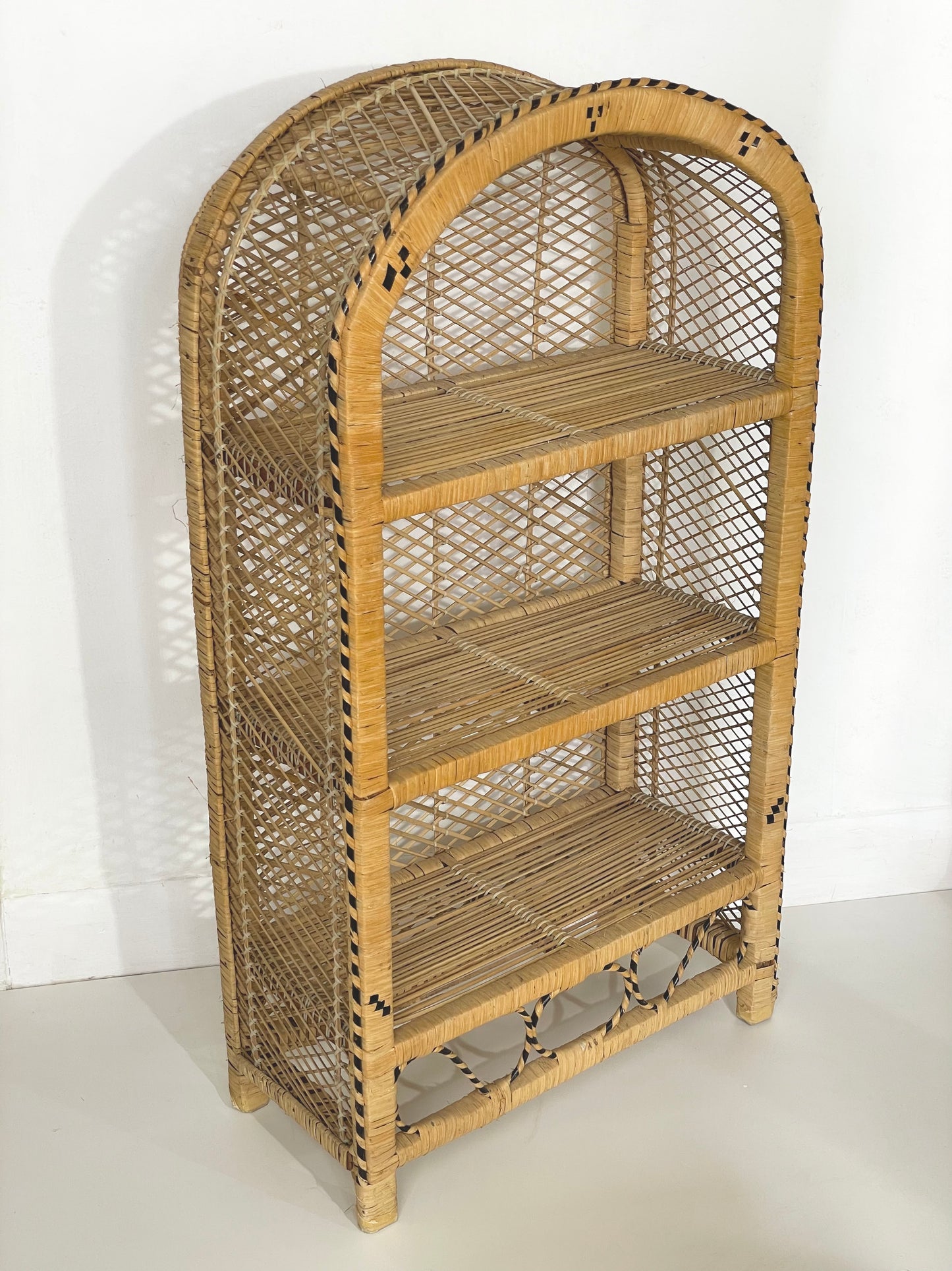 Peacock rattan bookcase